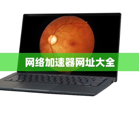 网络加速器网址大全