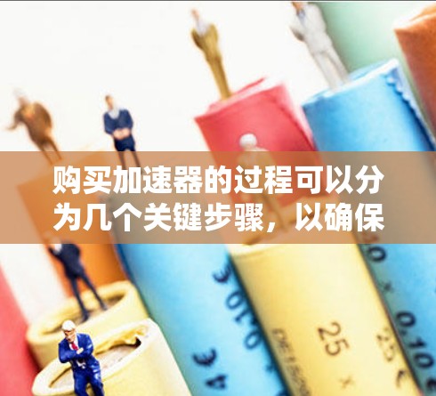 购买加速器的过程可以分为几个关键步骤，以确保你做出明智的选择。以下是一个结构化的指南，帮助你从明确需求、评估选项到最终购买的整个过程