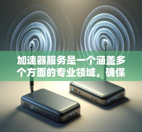 加速器服务是一个涵盖多个方面的专业领域，确保其有效运行至关重要。以下是对加速器服务的详细分析和建议