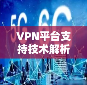VPN平台支持技术解析