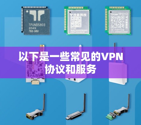 以下是一些常见的VPN协议和服务