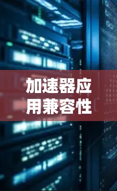 加速器应用兼容性探讨