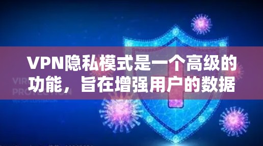VPN隐私模式是一个高级的功能，旨在增强用户的数据安全和隐私保护。以下是对隐私模式的详细分析