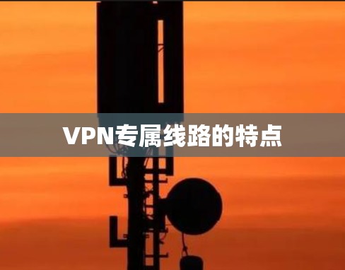 VPN专属线路的特点