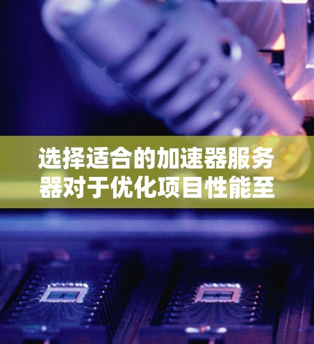 选择适合的加速器服务器对于优化项目性能至关重要。以下是根据需求分析后的选择建议