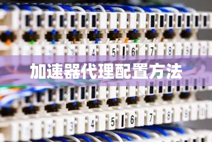 加速器代理配置方法