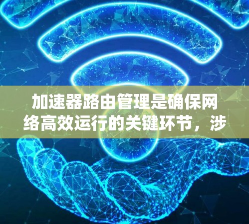 加速器路由管理是确保网络高效运行的关键环节，涉及多个关键部分。以下是对加速器路由管理的系统化总结