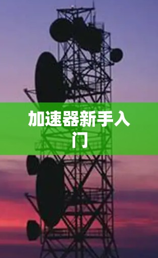 加速器新手入门