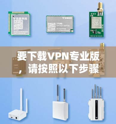 要下载VPN专业版，请按照以下步骤操作