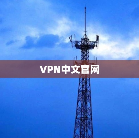 VPN中文官网