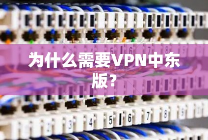 为什么需要VPN中东版？