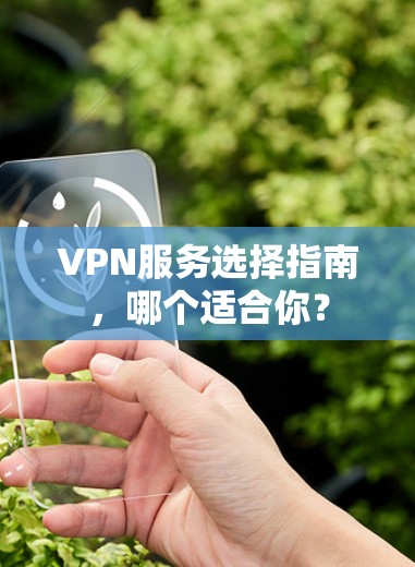 VPN服务选择指南，哪个适合你？