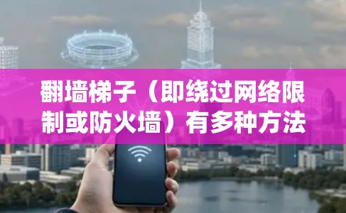 翻墙梯子（即绕过网络限制或防火墙）有多种方法和工具可选，以下是一些常见的翻墙工具和方法的比较