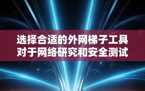 选择合适的外网梯子工具对于网络研究和安全测试至关重要。以下是几款常见工具的推荐，供您参考