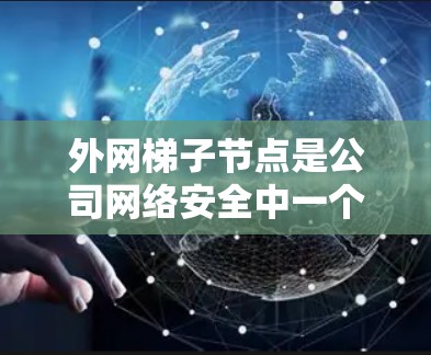 外网梯子节点是公司网络安全中一个关键的组件，主要用于连接外部网络（外网）与内部网络（内网）确保数据传输的安全性和稳定性。以下是对外网梯子节点的详细分析和总结
