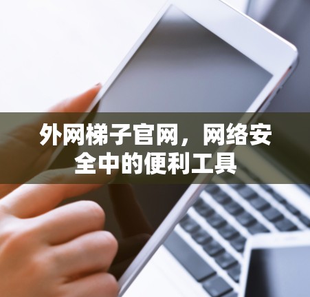 外网梯子官网，网络安全中的便利工具