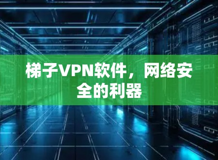 梯子VPN软件，网络安全的利器