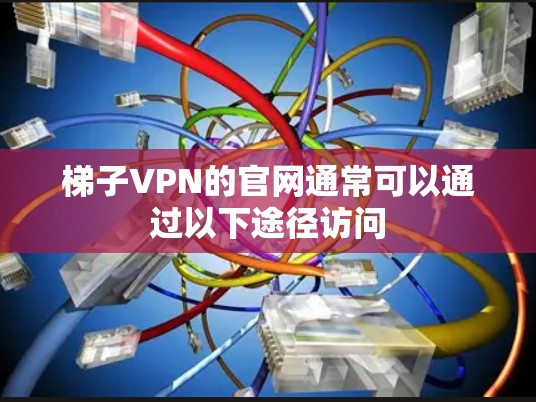 梯子VPN的官网通常可以通过以下途径访问