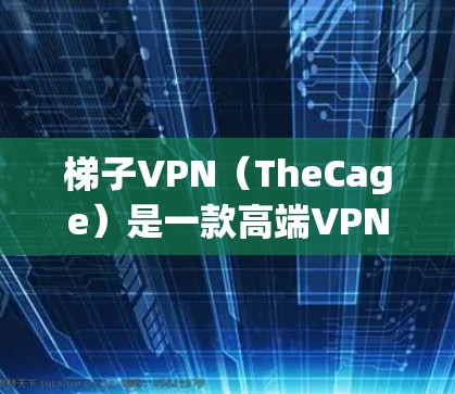 梯子VPN（TheCage）是一款高端VPN服务，主要面向企业用户和高级用户，提供高性能、安全的网络连接解决方案。以下是对梯子VPN的一些测评和分析