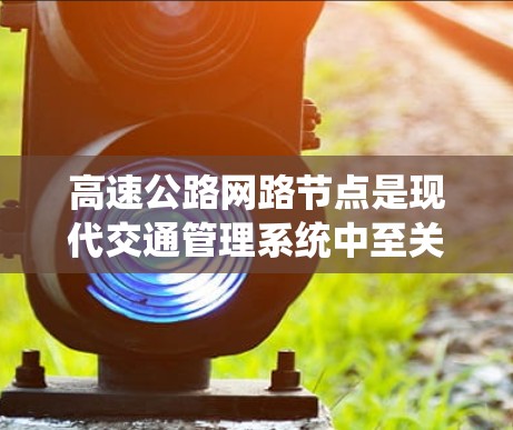 高速公路网路节点是现代交通管理系统中至关重要的组成部分，其核心作用在于实时监控和调控交通流量，以提高道路效率和安全性。以下是对高速公路网路节点的详细分析