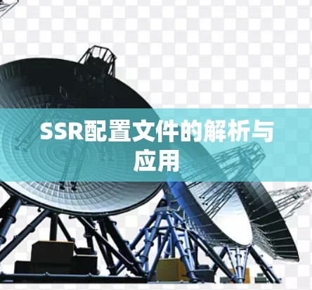 SSR配置文件的解析与应用