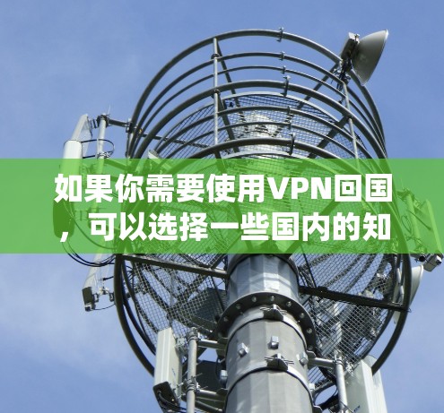如果你需要使用VPN回国，可以选择一些国内的知名VPN服务提供商，这些服务通常能够帮助你绕过网络限制，顺利访问国内的网络资源。以下是一些常见的国内VPN服务提供商