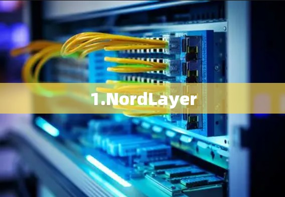 1.NordLayer