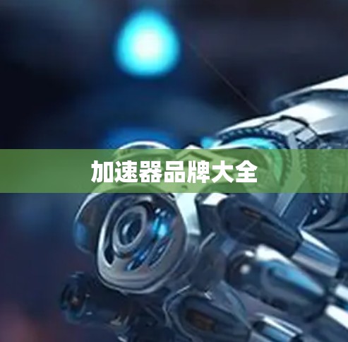 加速器品牌大全