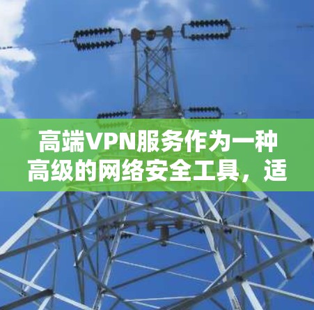 高端VPN服务作为一种高级的网络安全工具，适合对隐私和安全有较高要求的用户。以下是对高端VPN服务的详细分析