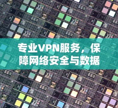 专业VPN服务，保障网络安全与数据隐私