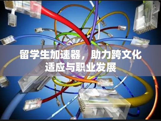 留学生加速器，助力跨文化适应与职业发展