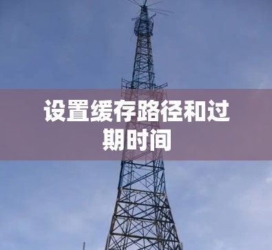 设置缓存路径和过期时间