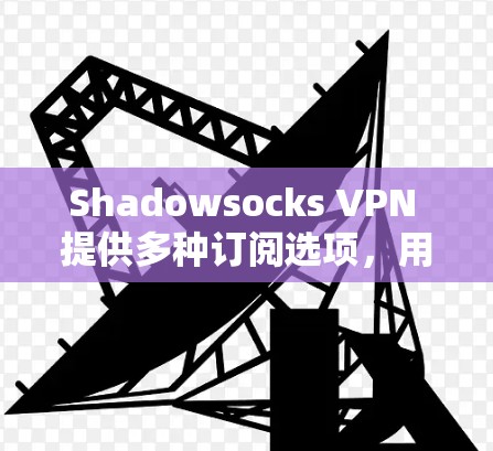 Shadowsocks VPN 提供多种订阅选项，用户可以根据需求选择适合自己的套餐。以下是一些常见的订阅方式和选项
