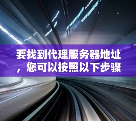 要找到代理服务器地址，您可以按照以下步骤操作