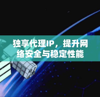 独享代理IP，提升网络安全与稳定性能