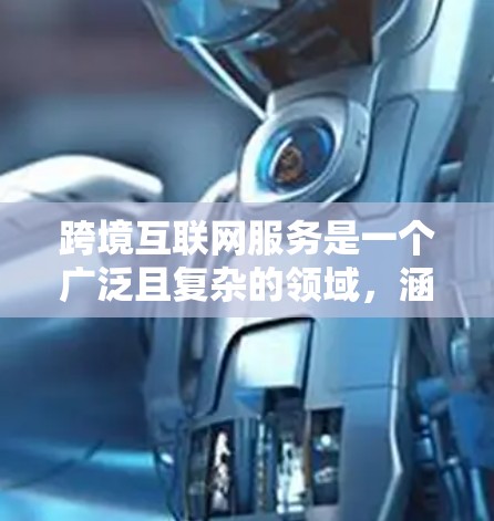 跨境互联网服务是一个广泛且复杂的领域，涵盖了多种技术、法律和市场因素。以下是对该领域的详细分析