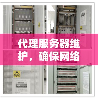代理服务器维护，确保网络通信的稳定与安全