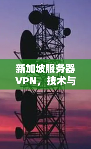 新加坡服务器VPN，技术与应用全解析