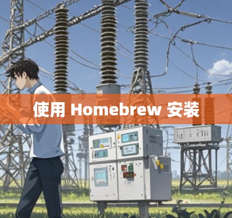 使用 Homebrew 安装