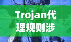 Trojan代理规则涉及多个方面，包括通信协议、恶意软件行为、防火墙设置和日志管理等。以下是对每个方面的详细分析