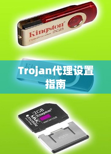 Trojan代理设置指南