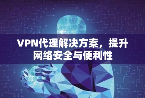 VPN代理解决方案，提升网络安全与便利性