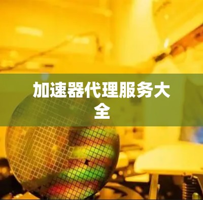 加速器代理服务大全