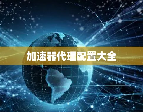 加速器代理配置大全