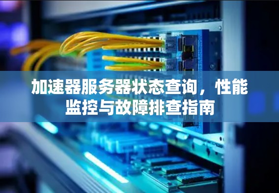 加速器服务器状态查询，性能监控与故障排查指南