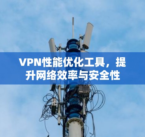 VPN性能优化工具，提升网络效率与安全性