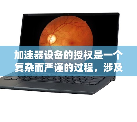 加速器设备的授权是一个复杂而严谨的过程，涉及多个方面的考量。以下是对加速器授权问题的系统分析