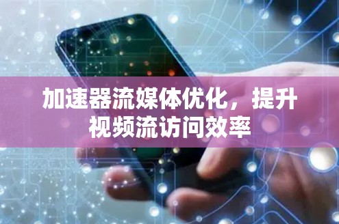 加速器流媒体优化，提升视频流访问效率