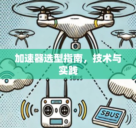 加速器选型指南，技术与实践