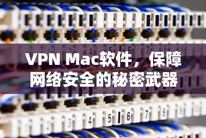 VPN Mac软件，保障网络安全的秘密武器